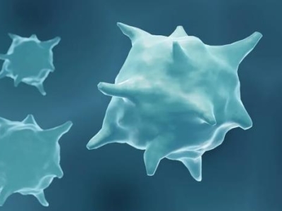 喜報 | 達(dá)博生物全資子公司泰禾生物“注射用重組改構(gòu)人腫瘤壞死因子”獲臨床試驗(yàn)?zāi)驹S可