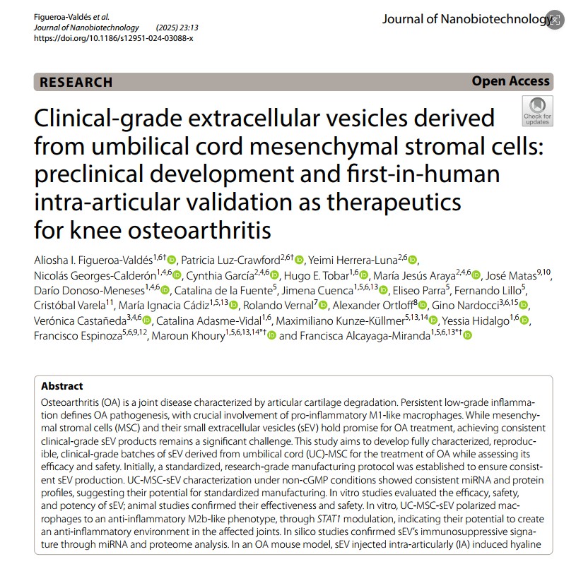 利用間充質(zhì)干細(xì)胞外泌體治療膝骨關(guān)節(jié)炎的臨床研究